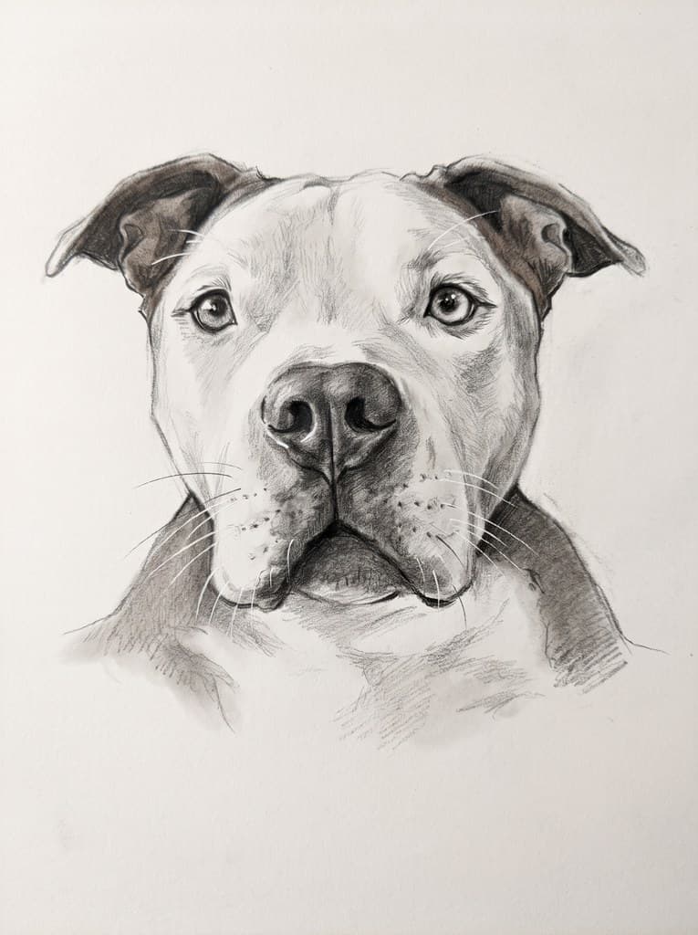 Charcoal Sketch